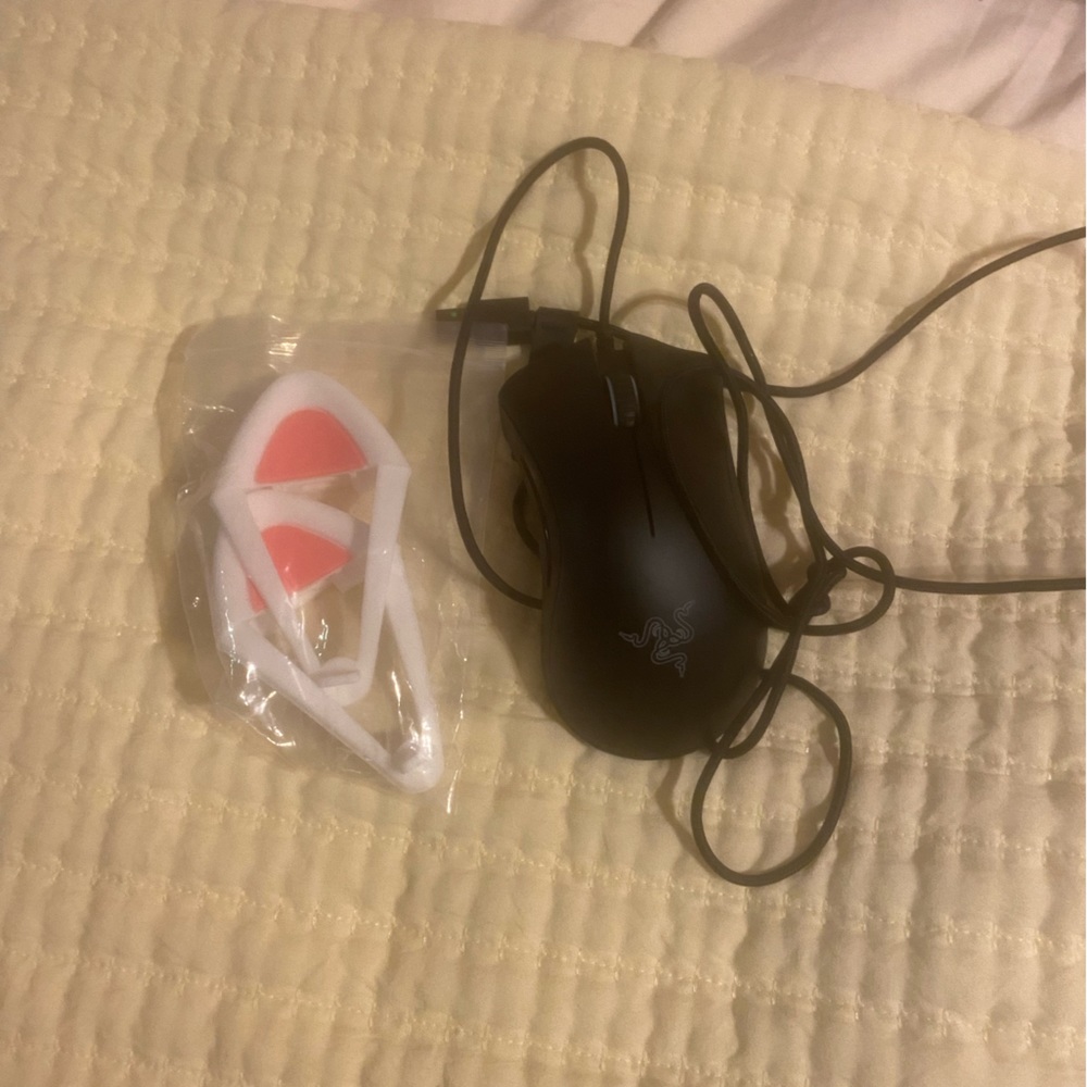 Headphone ears + razor mouse